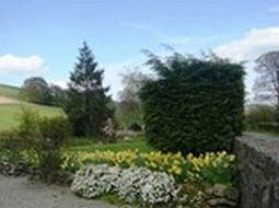 Pen-Isa'R-Llan Farm Llanfor Exterior foto
